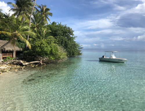 MALDIVE